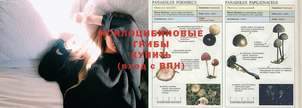 дурь Балабаново
