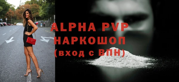 стаф Аркадак