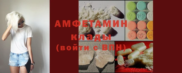 стаф Аркадак